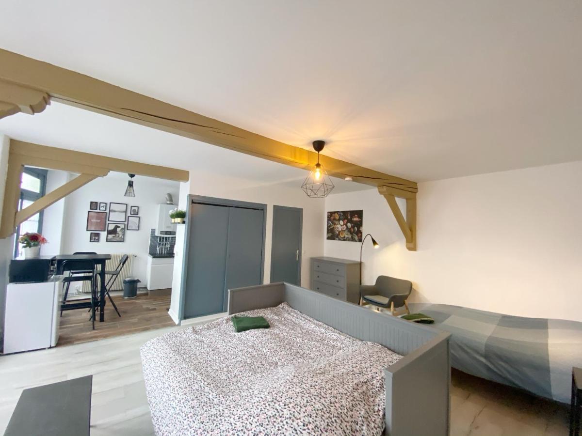 015 Chic & Cosy Studio 41M2 Hypercentre Wifi Smart Tv Netflix Saint-Etienne  Extérieur photo