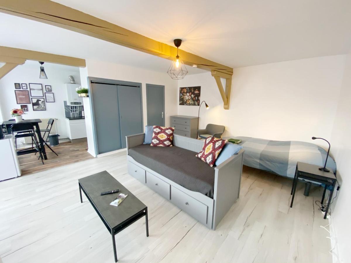 015 Chic & Cosy Studio 41M2 Hypercentre Wifi Smart Tv Netflix Saint-Etienne  Extérieur photo